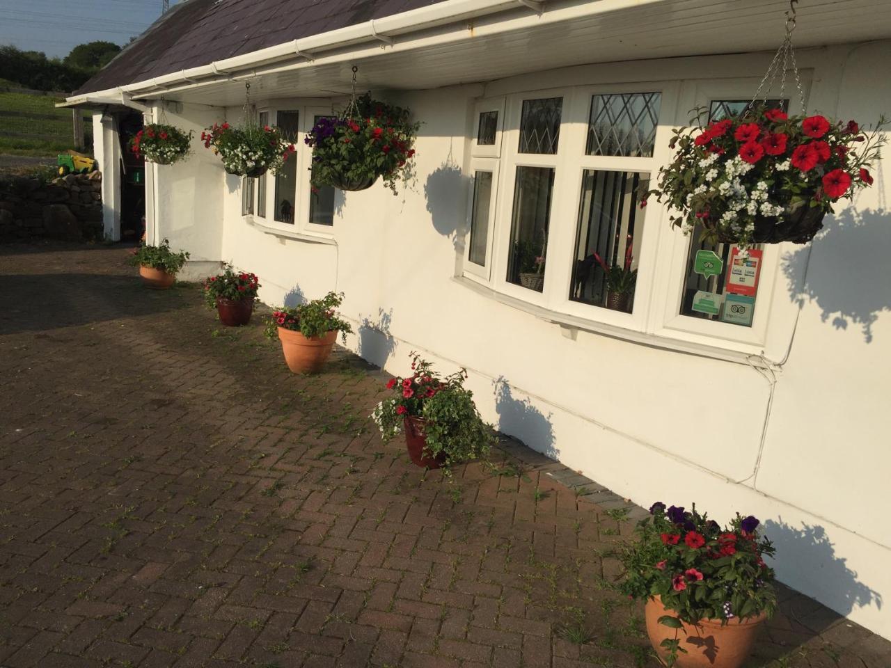 Brynawel Farm B&B Pontlliw 외부 사진